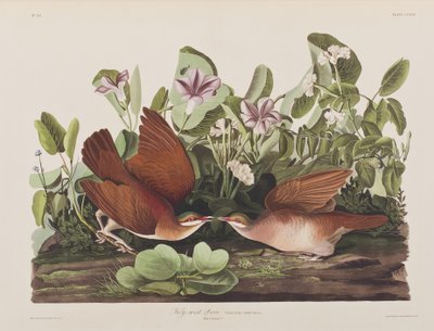 Ilustración de 