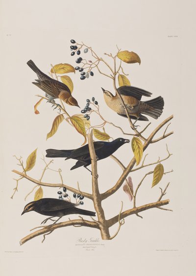 Ilustración de 
