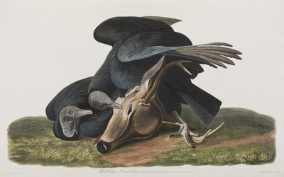 Ilustración de 