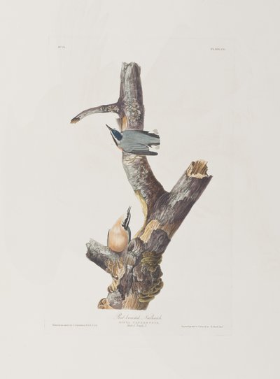Ilustración de 