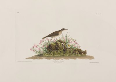 Ilustración de 