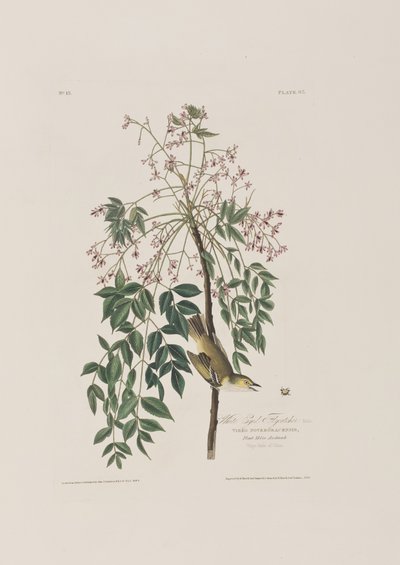 Ilustración de 