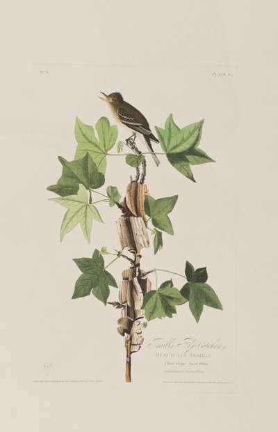 Ilustración de 