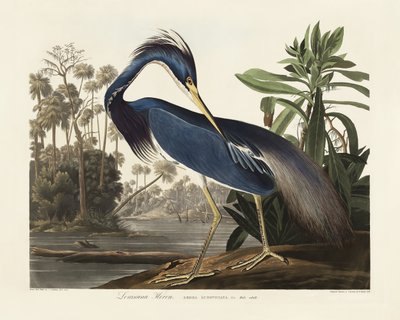 de John James Audubon