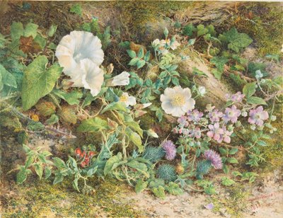 Estudio de flores, 1866 de John Jessop Hardwick