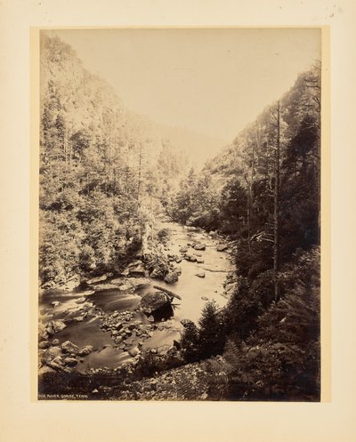 Desfiladero del río Doe, Tennessee de John K. Hillers
