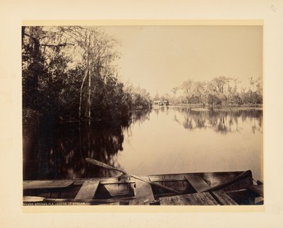 Silver Springs, Florida, vista aguas arriba de John K. Hillers