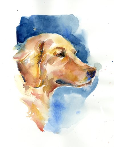 Golden Retriever de John Keeling
