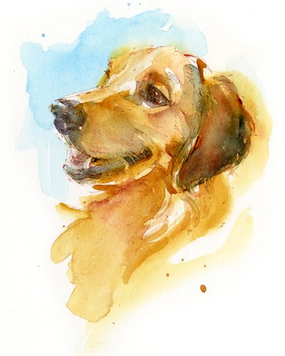Golden Retriever, 2017 de John Keeling