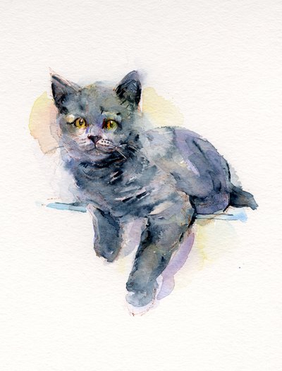 Gatito gris de John Keeling
