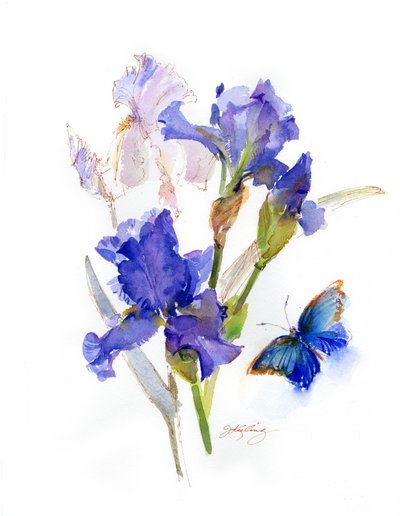 Iris con Mariposa Azul de John Keeling