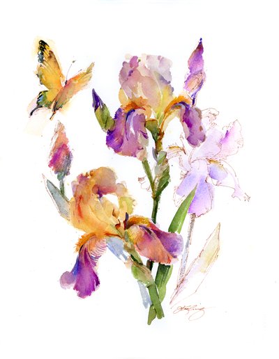 Iris con Mariposa Amarilla de John Keeling
