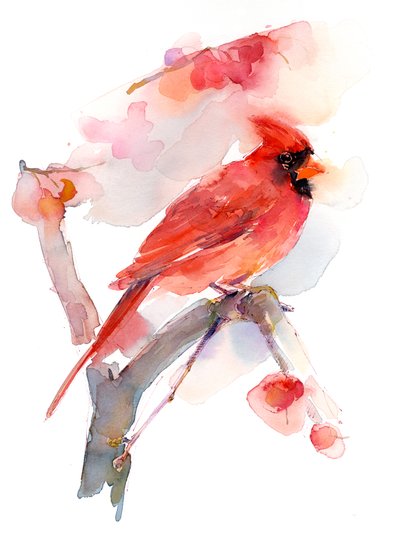 Cardenal Rojo de John Keeling