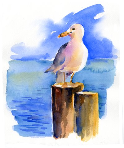 Gaviota en el Muelle de John Keeling