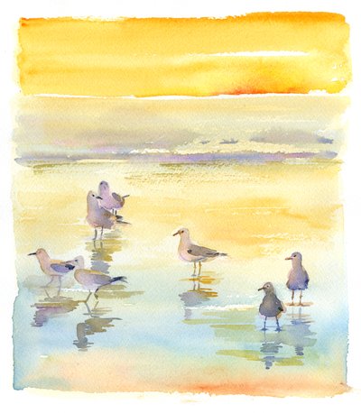 Gaviotas en la playa, 2014 de John Keeling
