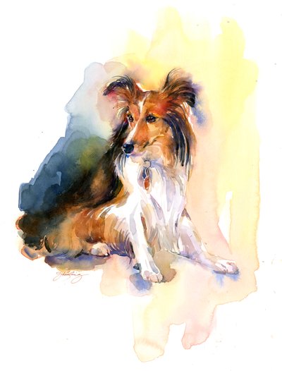 Retrato de Sheltie de John Keeling
