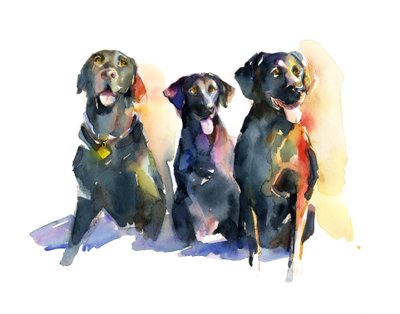 Tres Labradores Negros de John Keeling