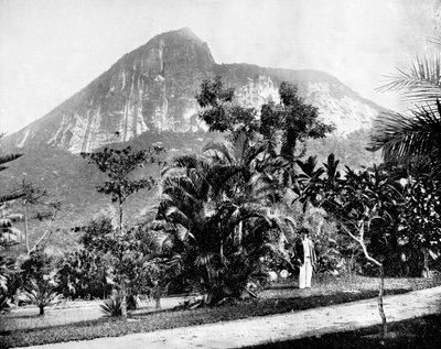Jardines botánicos y Monte Corcovado, Río de Janeiro, Brasil, 1893 de John L. Stoddard