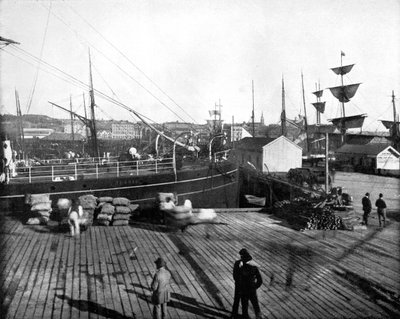 Puerto de Auckland, Nueva Zelanda de John L. Stoddard