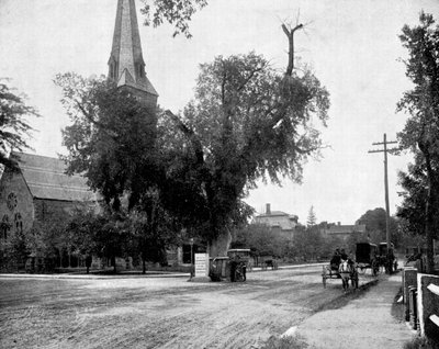 Olmo de Washington y Piedra Conmemorativa, Cambridge, Massachusetts, EE.UU., 1893 de John L. Stoddard