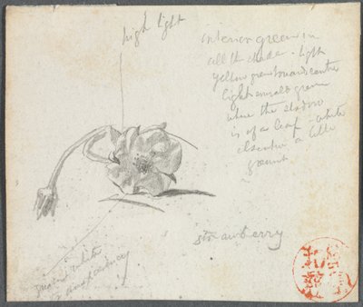 Flor de fresa de John La Farge