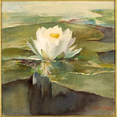Nenúfar a la luz del sol de John La Farge