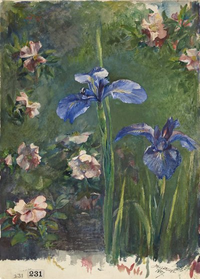 Rosas Silvestres e Iris, 1887 de John La Farge