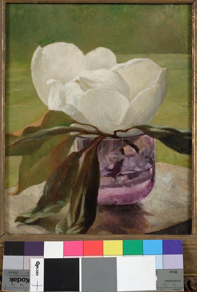 Flor de magnolia de John La Farge or Lafarge