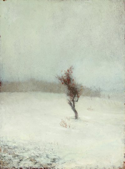 Tormenta de nieve 1865 (Óleo sobre tabla) de John La Farge or Lafarge