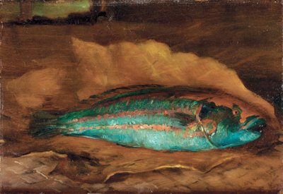 Estudio del pez loro, Samoa, 1890 de John La Farge or Lafarge