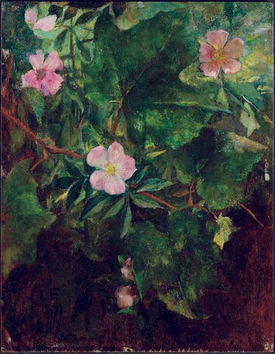 Rosa silvestre y vid, estudio de la naturaleza, 1871 de John La Farge or Lafarge
