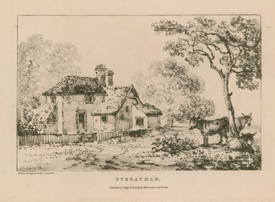 Vista general de Streatham de John Laporte