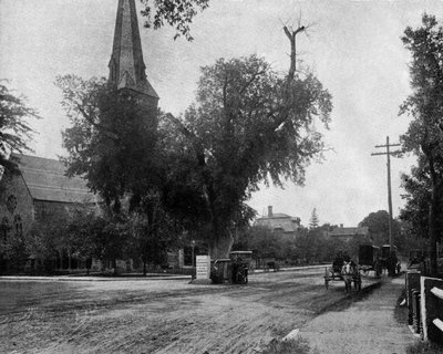 Árbol olmo de Washington en Cambridge, Massachusetts, EE.UU., c. 1900 de John Lawson Stoddard