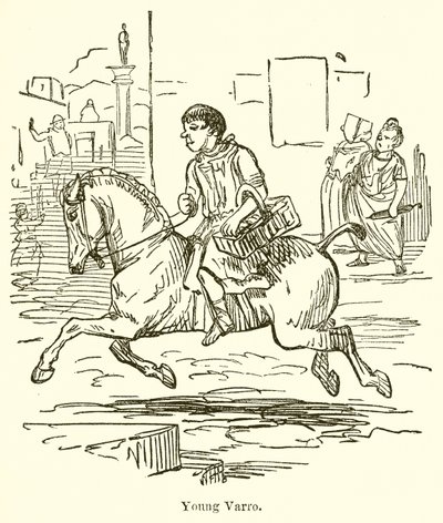 Joven Varro de John Leech