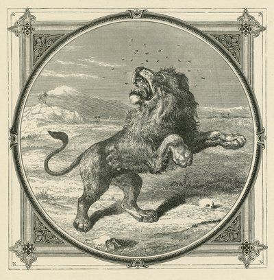 El mosquito pica los ojos del león de John Leighton