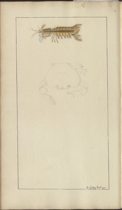 Dibujos de Lindsay Vol. VII, 24 de John Lindsay