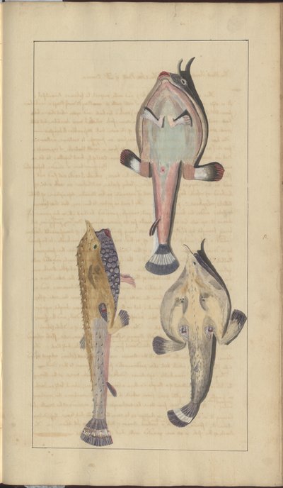 Dibujos de Lindsay Vol. VII, 27 de John Lindsay