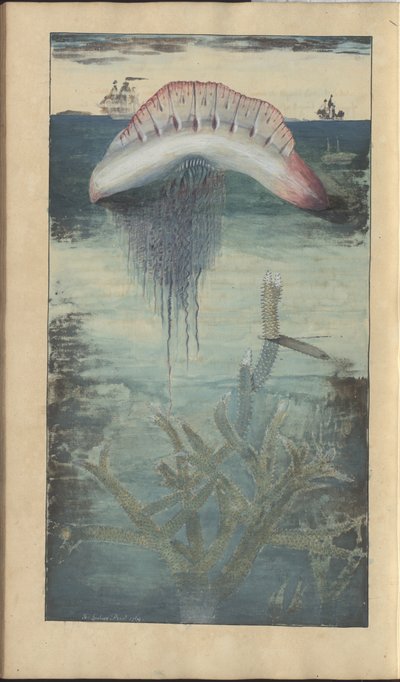 Dibujos de Lindsay Vol. VII, 30 de John Lindsay
