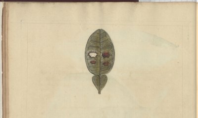 Dibujos de Lindsay Vol. VII, 3 de John Lindsay