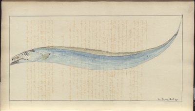 Dibujos de Lindsay Vol. VII, 9 de John Lindsay