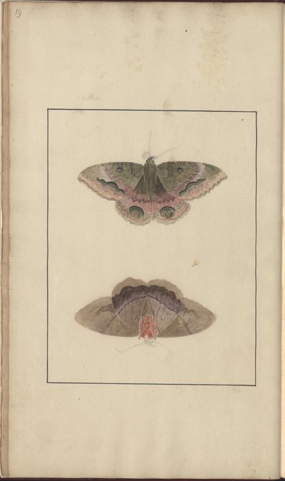 Dibujos de Lindsay Vol. VI de John Lindsay