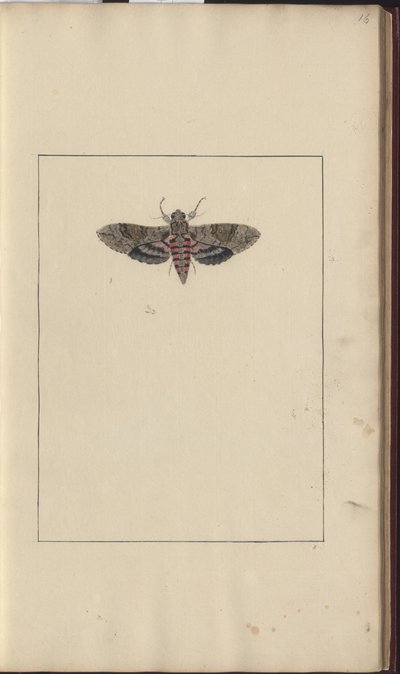 Dibujos de Lindsay Vol. VI de John Lindsay