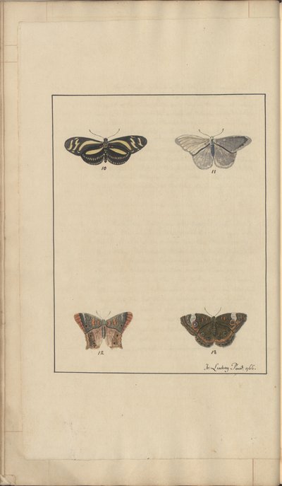 Dibujos de Lindsay Vol. VI, 35 de John Lindsay