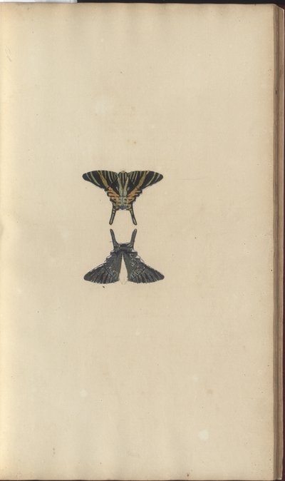 Dibujos de Lindsay Vol. VI, 48 de John Lindsay
