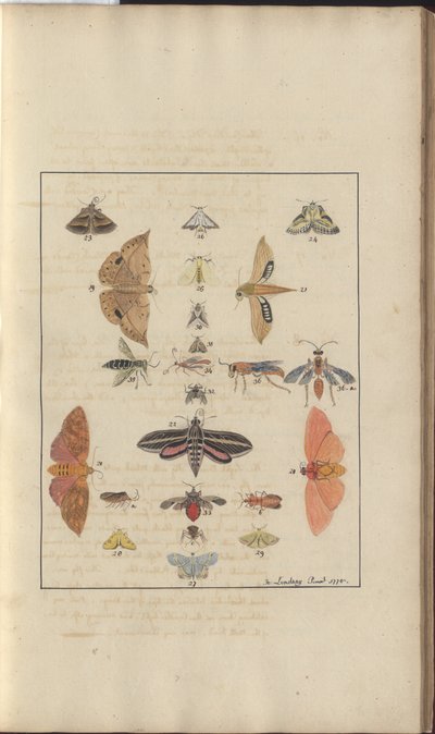 Dibujos de Lindsay Vol. VI, 68 de John Lindsay