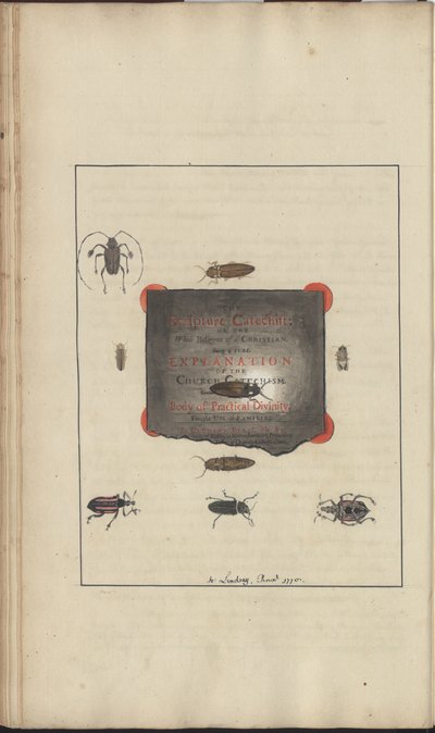 Dibujos de Lindsay Vol. VI, 95 de John Lindsay