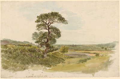 Un paisaje en Snowdonia con un árbol en primer plano de John Linnell