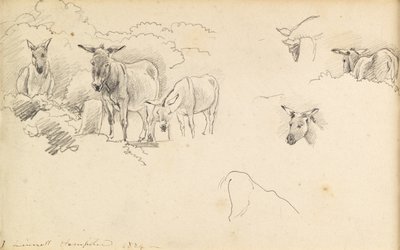 Burros, 1824 de John Linnell