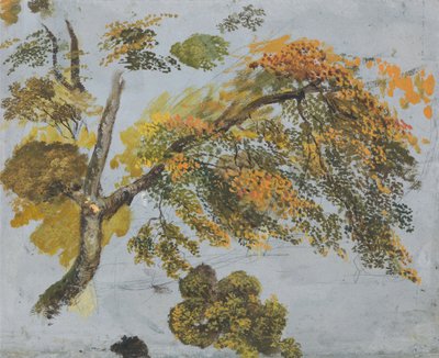 Baumstudie (Herbstlaub) de John Linnell
