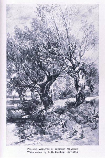 Leñadores en las afueras del Bosque de Windsor, Naturaleza en Gran Bretaña publicado por Collins de John Linnell